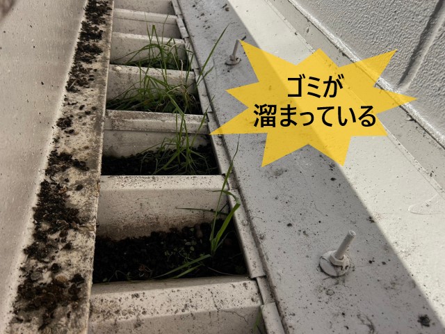 堺市中区にて雨漏りしている折板屋根倉庫の点検｜屋根に鳥の糞や泥が溜まり、排水が妨げられていました